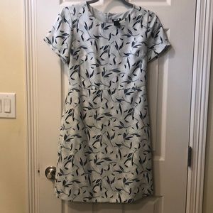Ann taylor dress